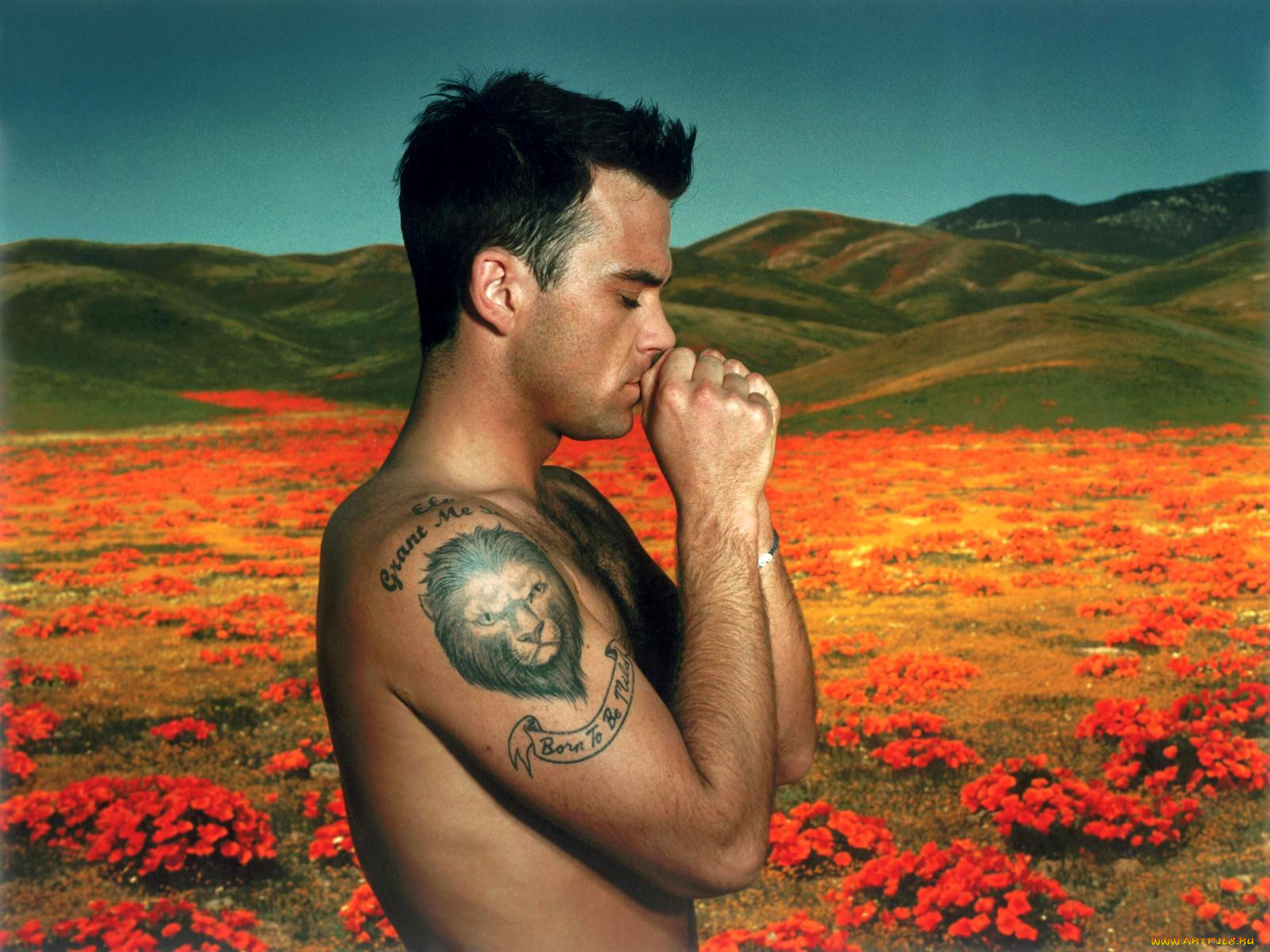 robbie, williams, 